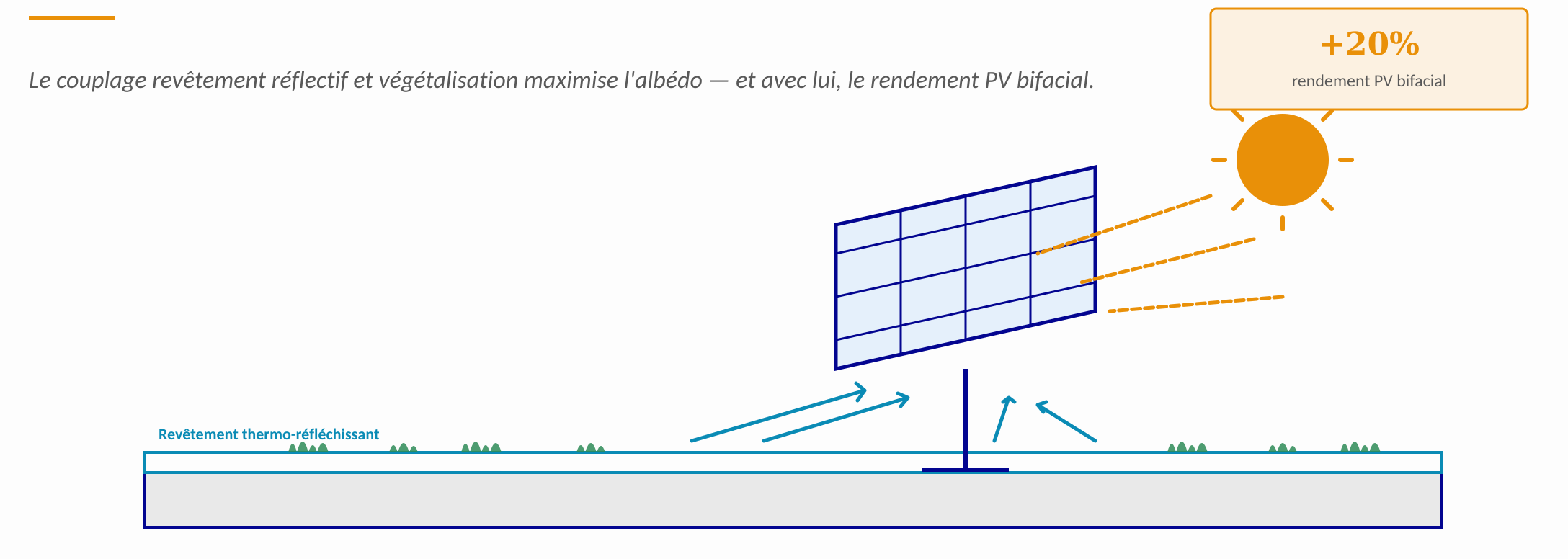 section2_pv_vegetalisation@2x